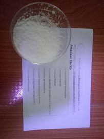 Potassium Sorbate FOOD/PHARMA